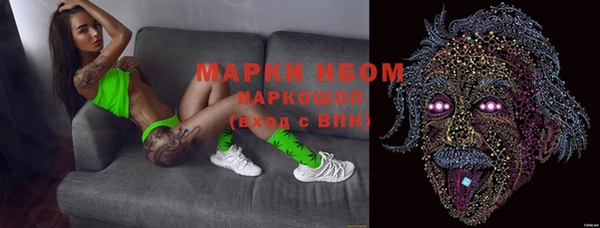 СК Алексин