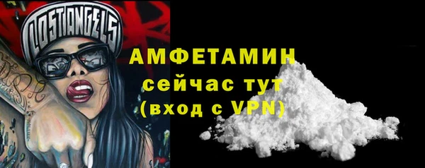 СК Алексин