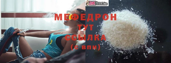 СК Алексин