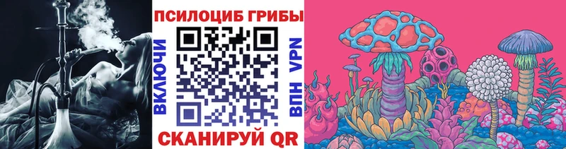 Псилоцибиновые грибы Psilocybe  мега tor  Дмитриев 